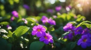 Achimenes The Magic Of Hot Water Plant For Vibrant Gardens