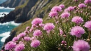Armeria Maritima Thriving With The Sea Thrift Plant