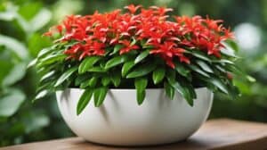 Lipstick Plant Care Simplified A Guide To Flourishing Aeschynanthus Radicans