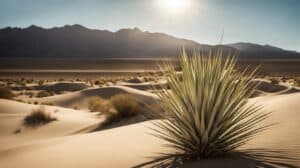 Desert Elegance Yucca Yucca Elephantipes Propagation Simplified